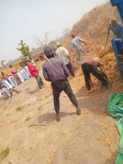 Soybean Purity 98–99% Foreign Matter ≤ 1% Moisture Content ≤ 13% Packaging 50kg Woven Pp Bags Application Oil Extraction, Food-grade Processing, Animal - Image 2