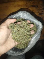 Kratom mytragina - Image 1