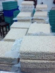 Cashew Nut - W320 – product photo 4, product detail gallery