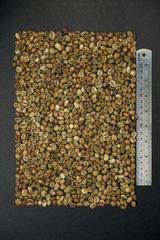 Robusta and Arabica Coffe Bean – product photo 1, product detail gallery