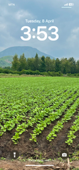 Non GMO Soybean  - Image 2