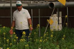 Company – thumbnail 6 of 11, supplier detail gallery