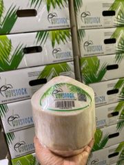 Cheap Fresh green young coconut top quality best price coconut for wholesales made in Ben Tre Vietnam – product photo 5, product detail gallery