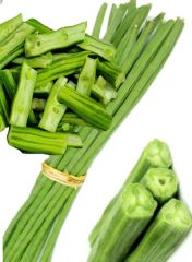 Premium Fresh Drumstick (Moringa) from India | Export Quality - Image 1