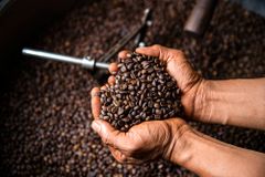 High Quality Vietnamese Freshly Roasted Brown Arabica Coffee Beans Made In Vietnam Export Standard - Image 6