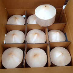 High Quality Tropical Fruit Coconut Diamond Shape Good Price - Image 5