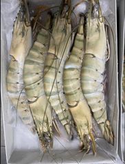 TOP product Black Tiger Shrimp at best price for wholesale – product photo 3, product detail gallery