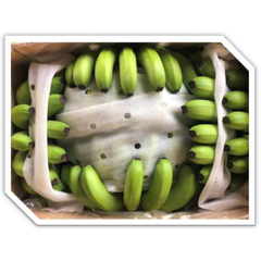 Top Selling Yellow Cavendish Green Banana Cavendish In Bulk For Sale Hot Season 2023 – product photo 5, product detail gallery