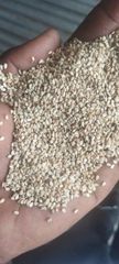 White Sesame Seeds – product photo 2, product detail gallery