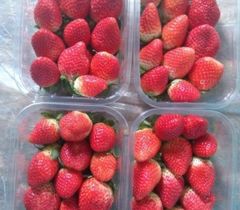 Strawberry – product photo 1, product detail gallery