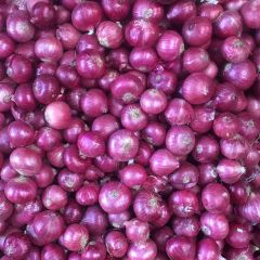 Onion Grade A Grade Type Export - Ryndon International Private Limited