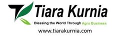 PT TIARA KURNIA