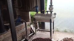 Nutmeg Oil Purity Natural Origin Indonesia Appearance Clear Liquid Processing Method Modern Distillation Processes Sourcing Method Carefully Selected Nutmeg Seeds From Indonesia's Finest - Image 2