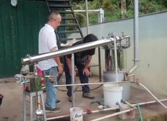 Nutmeg Oil Purity Natural Origin Indonesia Appearance Clear Liquid Processing Method Modern Distillation Processes Sourcing Method Carefully Selected Nutmeg Seeds From Indonesia's Finest - Image 3