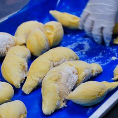 FROZEN IQF DURIAN MONTHONG RI 6 HIGH QUALITY FROM VIETNAM WHOLE FRUIT OR 1KG BAG DURIAN MEAT – product photo 6, product detail gallery