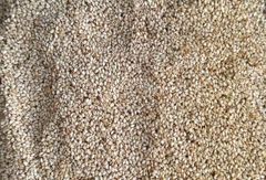 Premium  Sesame Seeds – product photo 2, product detail gallery