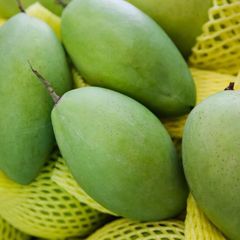 Fresh Mango (KAEW Mango) Guaranteed Sweet and Fresh / Planted at Southern of Vietnam - Image 6