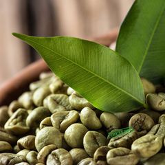 Best Quality Coffee Beans 100% Organic Made in Vietnam Wholesale at Cheap Price - Green Coffee Roasted,green Bulk Packaging – product photo 4, product detail gallery