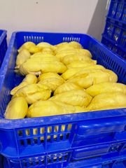 FROZEN IQF DURIAN MONTHONG RI 6 HIGH QUALITY FROM VIETNAM WHOLE FRUIT OR 1KG BAG DURIAN MEAT – product photo 2, product detail gallery