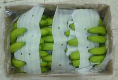 Fresh Cavendish Banana vietnam with high quality and best price for export cavendish banana ready to shipping EU, ASIA Market – product photo 3, product detail gallery