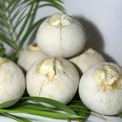 Fresh Coconut From Vietnam for Exports, Imports with high quality – product photo 4, product detail gallery