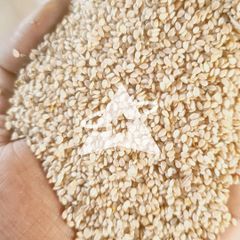 Sesame Seeds – product photo 1, product detail gallery