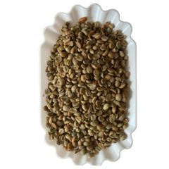 Premium Quality Green Arabica coffee beans S18 from highlands Cau Dat Da Lat Vietnam, processing natural – product photo 1, product detail gallery