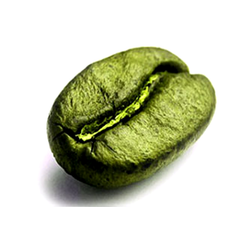 Coffee Beans from Vietnam at Cheap Price - Green Coffee – product photo 1, product detail gallery