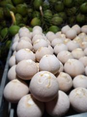 FRESH YOUNG COCONUT PEELED HIGH QUALITY WITH GLOBAL GAP FROM VIETNAM EXPORT TO EU,US, CANADA, RUSSIA – product photo 5, product detail gallery