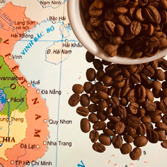 Roasted coffee beans Fine Robusta Organic Vietnamese Hiva's coffee - Pure roasted coffee bean with top quality – product photo 2, product detail gallery