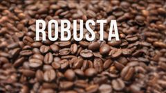 Top Quality Kenya Arabica Washed Green Coffee Bean From Vietnam Wholesales Bulk Green Coffee – product photo 5, product detail gallery