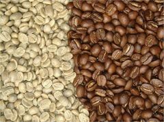 Coffee Beans from Vietnam at Cheap Price - Green Coffee – product photo 4, product detail gallery