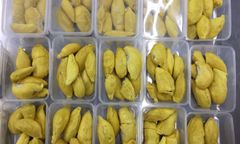 FROZEN IQF DURIAN MONTHONG RI 6 HIGH QUALITY FROM VIETNAM WHOLE FRUIT OR 1KG BAG DURIAN MEAT – product photo 5, product detail gallery