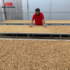 Premium Quality Green Arabica coffee beans S18 from highlands Cau Dat Da Lat Vietnam, processing natural – product photo 3, product detail gallery