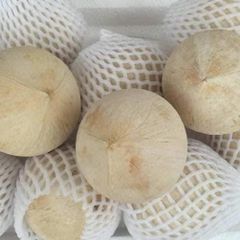 Young coconuts is tasty and slightly sweet, and you can enjoy it raw or dried to export - Image 2