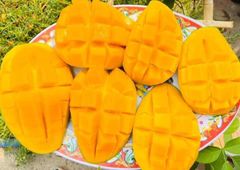 HOT SALES - Fresh CATCHU Mango from Vietnam for export with best price and high quality - Image 2