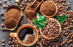Wholesale Coffee - Vietnamese Freshly Roasted Arabica Coffee Beans - Best quality – product photo 5, product detail gallery