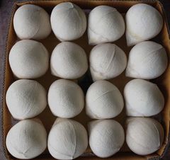 FRESH YOUNG COCONUT PEELED HIGH QUALITY WITH GLOBAL GAP FROM VIETNAM EXPORT TO EU,US, CANADA, RUSSIA – product photo 6, product detail gallery