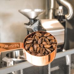 Green Arabica Coffee High Quality Arabica Green Coffee packaging customization at Attractive Price from Viet Coffee branch - Image 2