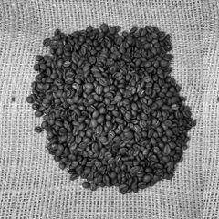 Roasted Arabica Coffee Beans Vietnamese A Grade Roasted Arabica Coffee Beans for Wholesale with affordable price – product photo 2, product detail gallery