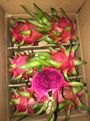 Fresh Red Dragon Fruit Frozen - Wholesale High Quality (Certification: GAP, HACCP...) - 100% Natural Fresh fruit – product photo 3, product detail gallery