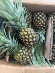 Fresh Pineapple – product photo 2, product detail gallery