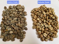 Arabica and Robusta Coffee – product photo 2, product detail gallery