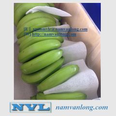 [BEST CHOICE 2023] DRIED BANANA WITH COMPETITIVE PRICE AND HIGH QUALITY - AGRICULTURAL PRODUCTS FROM VIETNAM - Image 4