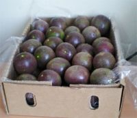 PASSION FRUIT PUREE at THE BEST HIGH QUALITY and BEST COMPETITIVE PRICE 2023 Wholesale From Vietnam – product photo 3, product detail gallery