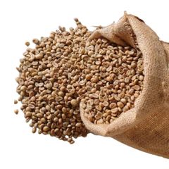 Green coffee beans premium quality Robusta S16 of capital coffee in Buon Ma Thuot Vietnam, processing honey - Image 1