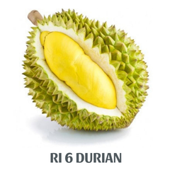 FRESH DURIAN RI6 MONTHONG EXPORT WHOLESALE FROM VIETNAM HIGH QUALITY SUPPLIER FOR US, EU MARKET – product photo 2, product detail gallery