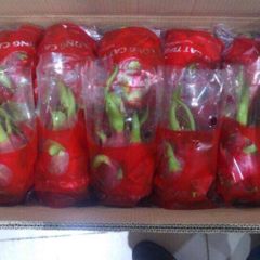 Fresh Dragon Fruit Quality for Export / White Flesh Dragon fruit - Image 4