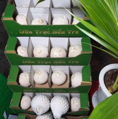 Fresh Coconut From Vietnam for Exports, Imports with high quality – product photo 3, product detail gallery