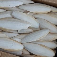 Premium Dried Cuttlefish Bone Wholesale Seafood Dried Cuttlefish Bones High Quality Lowest Price 100% Natural Bag Packaging AD - Image 6